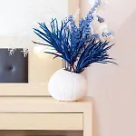 Adani 2*